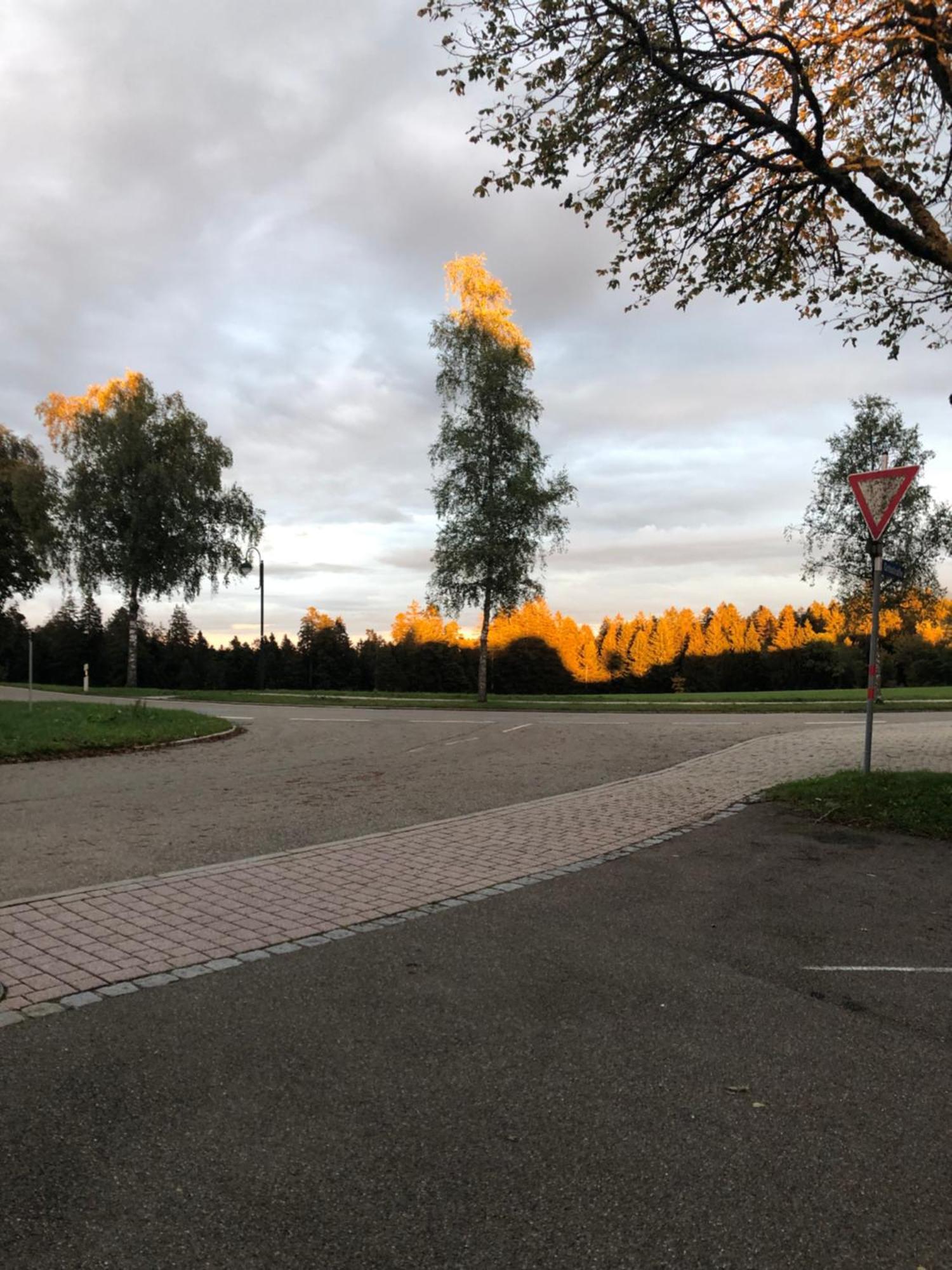 Solhof-Schoemberg Loßburg Екстериор снимка